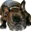 bettythacker108 - @bettythacker108 - TikTok