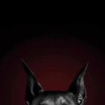 Bette Hackett - @bettehackettqueen - Instagram