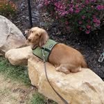 Betty Hackett - @bhackett1 - Instagram