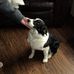 Betty Hackett - Facebook