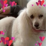 Betty Holder Hackler - @betty.h.hackler - Instagram