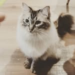 @bettyhan196 - Instagram