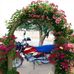 Betty Kache Hare - Facebook