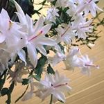 Betty Keller - @betty.keller.50 - Instagram