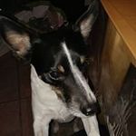 Betty Keller - @betty.keller.5473 - Instagram