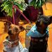 Betty Kish - Facebook