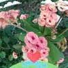Betty Larry - @betty.larry - TikTok