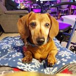 BettyLarry Davis - @bettylarrydavis - Instagram