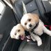 Betty Mclaughlin - Facebook