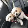 bettymclaughlin1 - @bettymclaughlin1 - TikTok