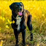 Betty Muller - Facebook