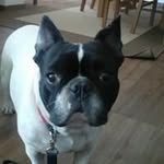 Betty Müller - @betty.muller.524 - Instagram