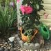 Betty-Euie Oates - Facebook