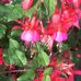 Betty Oates - Facebook