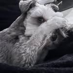 Betty Painter - @bettycannon6 - Instagram