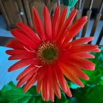 Betty Painter - @betty_painter1 - Instagram