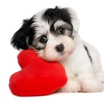 Betty Painter - Facebook