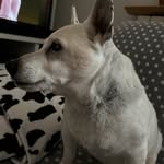 Betty Pellegrini - @betty_pellegrini65 - Instagram