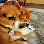Betty Plummer Walker - @myracle1946 - Instagram