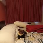 Betty Powers - @bettypowers55gmail - Instagram