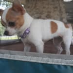 Betty Pullen - @bettypullen1495 - Instagram