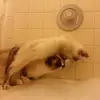 quickbetty - @quickbetty - TikTok