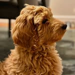 Betty - @betty_gets_ready - Instagram