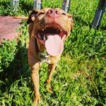 _betty_red nose_ - @_betty_red_nose_ - Instagram