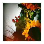 Betty Redd - @fredgatoblogger - Instagram