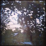 Betty Redd - @scarytophop - Instagram
