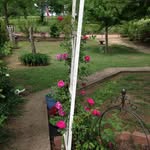 Betty Redd - @bjredd1941 - Instagram