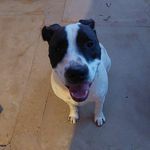 Betty Redden - @redden_b321 - Instagram