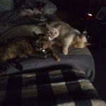 Betty Redmond - @nanemom56 - Instagram