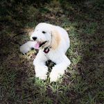 Betty Redmond Wilson - @gmawbetty - Instagram