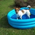 Betty Rees - @rees169 - Instagram