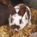 Betty Reeves - Facebook