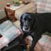Betty Reitz - Facebook