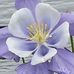 Betty Reitz - Facebook
