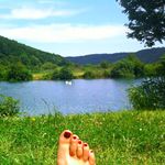 Betty Reitzer - @bettyreitzer - Instagram