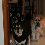 Betty Brenner - @betty.brenner - Instagram