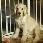 Betty Renner - @rennerbetty - Instagram