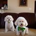 Betty Renner - Facebook