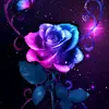 bettybrenner391 - @bettybrenner391 - TikTok