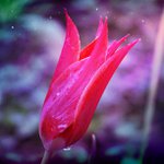 Betty Reno - @wetepicneil - Instagram