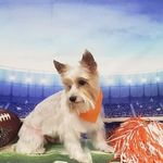 Betty Reno Crabtree - @bettyrenocrabtree - Instagram