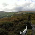 Betty Renwick - @betty.renwick.3 - Instagram