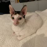 BETTY ☻ - @bettywhite_therex - Instagram