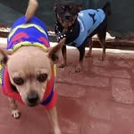 Betty e Rex - @bettyandrex - Instagram