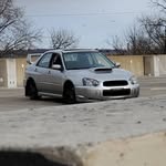 Betty the rex - @betty_the_rex - Instagram