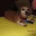 Betty Rexrode - Facebook